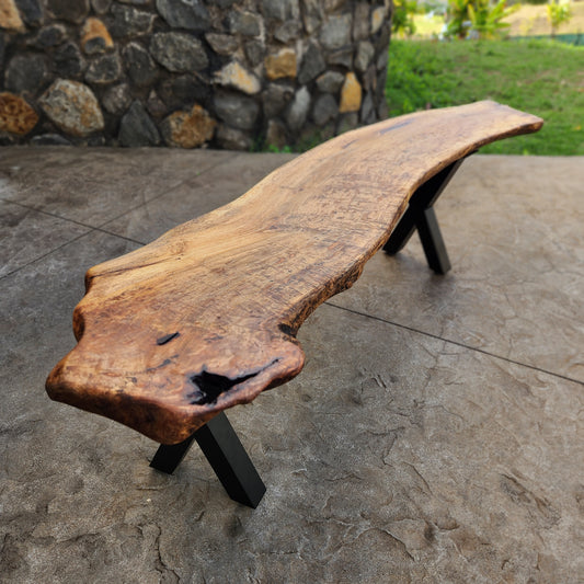 Live Edge Hawaiian Mango bench with black metal legs